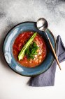 Красное карри с томатным соусом и овощами на белой тарелке — стоковое фото