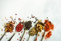 Spices and herbs on a white background — Stock Photo