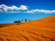 Train de chameaux à travers le désert du Sahara, Maroc — Photo de stock