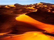 Hermoso paisaje del desierto de namib en el sahara, namibia - foto de stock