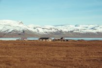 Maisons traditionnelles à la campagne, Islande — Photo de stock