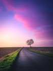 Einsamer Baum an einer Straße durch ländliche Landschaft, Warwickshire, England, UK — Stockfoto
