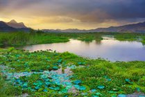 Озеро Лебо, Таліванґ, острів Західний Сумбава, Індонезія — стокове фото