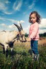 Ragazza in piedi in un campo che nutre una capra, Polonia — Foto stock