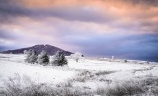 Зимний пейзаж на закате, Рила, Болгария — стоковое фото
