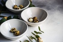 Oster-Tischdekoration mit Schalen mit Ostereiern und Eukalyptusstämmen — Stockfoto