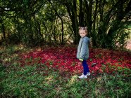 Menina de pé ao lado de uma ameixeira com frutas caídas, Polônia — Fotografia de Stock