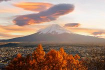 Monte Fuji al atardecer con un arce en primer plano, Honshu, Japón - foto de stock