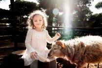 Girl sitting in an animal pen with a sheep, Italy — Stock Photo