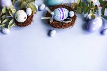 Easter eggs in bird's nests with eucalyptus stems — Stock Photo