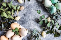 Huevos de Pascua en cajas de huevo de porcelana con tallos de eucalipto - foto de stock