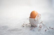 Вареное яйцо в яичных чашках рядом с сушеными цветами — стоковое фото