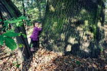 Chica apoyada en un tronco de árbol en el bosque, Polonia - foto de stock