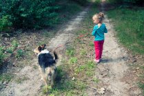Visão traseira de uma menina passeando seu cão na floresta, Polônia — Fotografia de Stock