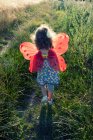 Girl wearing fairy wings walking in a rural landscape, Italy — Stock Photo