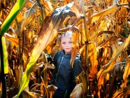 Porträt eines Mädchens, das in einem Maisfeld steht, Polen — Stockfoto