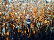 Retrato de una niña de pie en un campo de maíz, Polonia - foto de stock