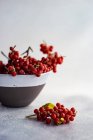 Ripe silver buffaloberry in a bowl on white concrete background — Stock Photo