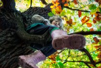 Vista de ángulo bajo de una niña sentada en un árbol en el bosque, Polonia - foto de stock