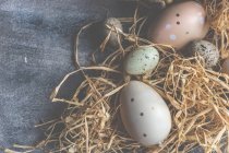 Concetto di carta di Pasqua con colorato in colori pastello uovo su sfondo di cemento — Foto stock