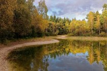 Réflexion dans un lac forestier, Hesel, Frise orientale, Basse-Saxe, Allemagne — Photo de stock