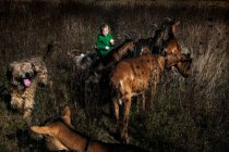 Ragazza in piedi in un campo con il suo cane e alcune capre, Polonia — Foto stock