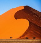 Alberi di fronte a una duna di sabbia gigante, Sossusvlei, Namib Naukluft National Park, Namibia — Foto stock