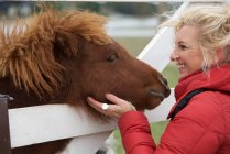 Donna sorridente che accarezza un cavallo — Foto stock