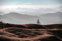 Lone tree in autumnal alpine landscape, Filzmoos, Salzburgo, Áustria — Fotografia de Stock