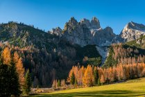 Mt Bischofsmutze e floresta de outono, Filzmoos, Salzburgo, Áustria — Fotografia de Stock