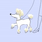 Mujer conceptual paseando a su perro mascota - foto de stock