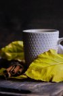 Mug of tea surrounded by autumn eaves and cinnamon sticks — Stock Photo