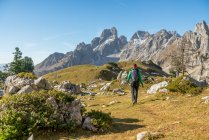 Frau wandert im Herbst auf Wanderweg in alpiner Landschaft, Filzmoos, Salzburg, Österreich — Stockfoto