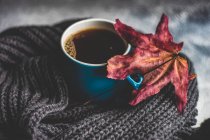 Café americano ao lado de uma folha de outono e cachecol — Fotografia de Stock