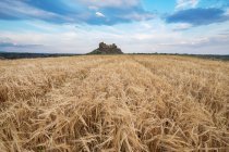 Weizenfelder vor den Ruinen von Castillo de Montearagon, Huesca, Aragon, Spanien — Stockfoto