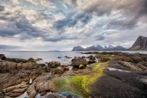 Paisaje costero rocoso, Lofoten, Nordland, Noruega - foto de stock