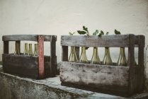 Garrafas de vinho vazias em caixas de madeira — Fotografia de Stock