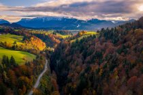 Luftaufnahme eines Autos, das durch einen Herbstwald fährt, Österreich — Stockfoto