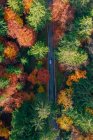 Fotografia aérea de um carro que atravessa uma floresta de outono, Áustria — Fotografia de Stock