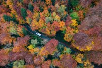 Fotografia aérea de um carro que atravessa uma floresta de outono, Áustria — Fotografia de Stock