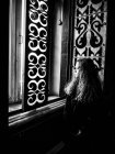 Retrato de una chica mirando por una ventana - foto de stock