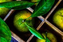Frutas frescas de mandarina orgánica en una caja sobre fondo rústico - foto de stock