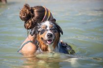 Woman swimming in ocean with an Australian shepherd dog, Florida, USA — Stock Photo