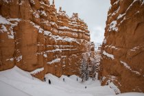Winter in Bryce Canyon National Park, Utah, USA — Stock Photo