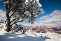 Grand Canyon National Park no inverno, Arizona, EUA — Fotografia de Stock
