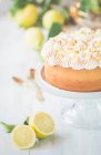 Лимонный творог и торт с безе на выпечке — стоковое фото