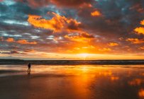Хлопчик, що йшов уздовж пляжу на заході сонця, Вествард-Хо, Девон, Англія, Велика Британія. — стокове фото