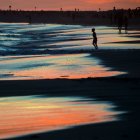 Silhouette of a boy on beach at sunset, USA - foto de stock