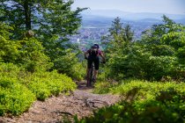 Bicicleta de montaña mujer a través del bosque, Klagenfurt, Carintia, Austria - foto de stock