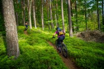 Man and woman mountain bike through the forest, Klagenfurt, Caríntia, Áustria — Fotografia de Stock